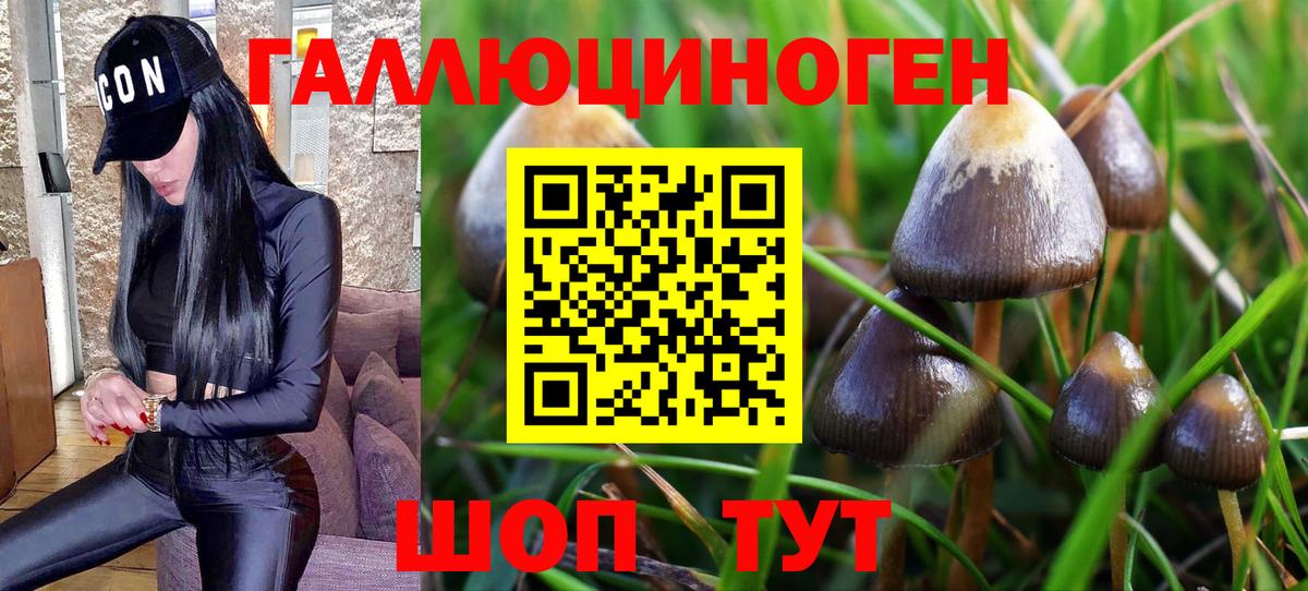 Галлюциногенные грибы Psilocybine cubensis  Вход с VPN  Галлюциногенные грибы MAGIC MUSHROOMS  Нововоронеж 