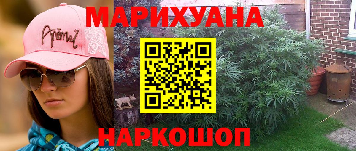 МАРИХУАНА план Нововоронеж